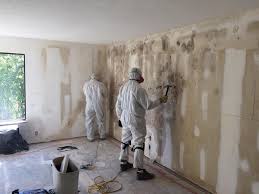 Best Environmental Consulting for Mold Prevention in Rumson, NJ